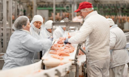 «Мираторг» за 9 месяцев нарастил производство мяса птицы на 14%