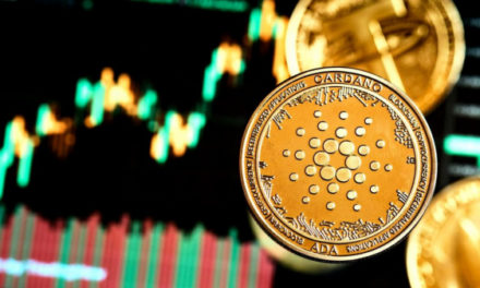 Основатель Cardano: Мы растем органически, как биткоин, будет ли бум цен на ADA?