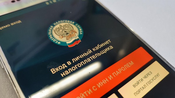 Как узнать долги по налогам: через ФНС, "Госуслуги", по ИНН Как узнать долги по налогам: через ФНС, "Госуслуги", по ИНН
