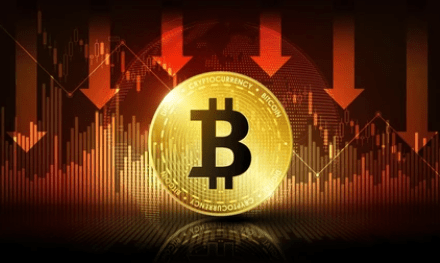 Цена биткоина может упасть до $37 000 до сокращения вдвое