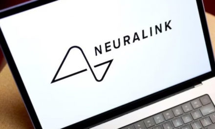 Neuralink перерегистрировался в Неваде из-за претензий регулятора Делавэра