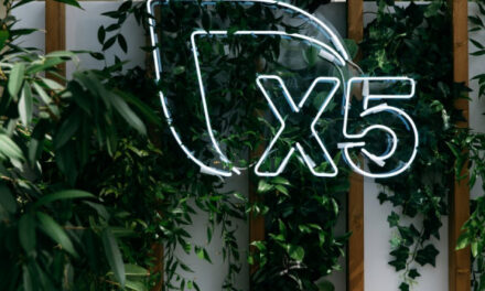 X5 Group получила уведомление о приостановке прав на российскую «дочку»