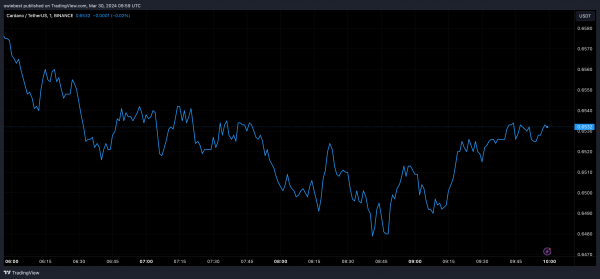 Группа экспертов сообщает, когда цена Cardano достигнет 3 долларов