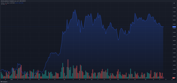 Биткоин-киты в движении: приближается ли цена в 100 000 долларов?