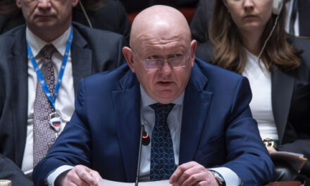 Небензя: Россия задействует все доступные инструменты при конфискации активов