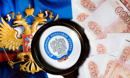 Какие бывают виды налогов в России: примеры