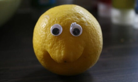 Стартап Lemon Squeezy перешел под контроль Stripe