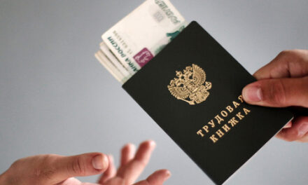 Где самые высокие зарплаты кандидатам без опыта работы