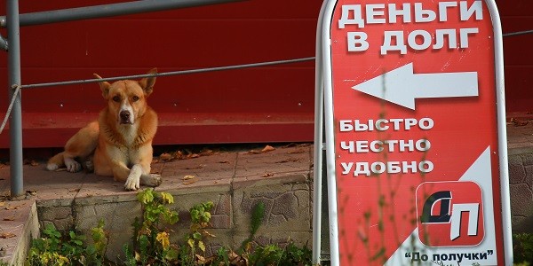 Эксперты оценили предложение запретить МФО