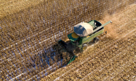 Суд приостановил корпоративные права Ros Agro на группу «Русагро»