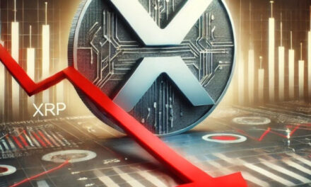 Транзакции XRP падают, но активные кошельки и ликвидность DeFi говорят о другом