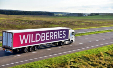 Wildberries вдвое снизил стоимость доставки товаров в шесть дальневосточных регионов