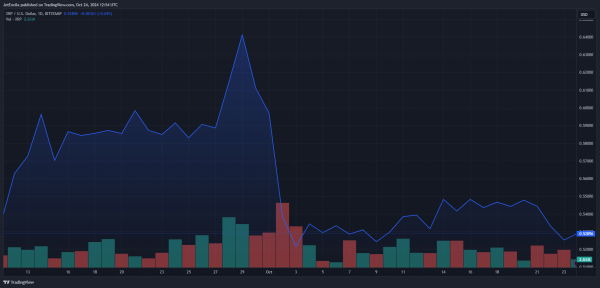 XRP может вырасти на 27% на этой неделе, совершив &laquo;огромное движение&raquo; &ndash; аналитик