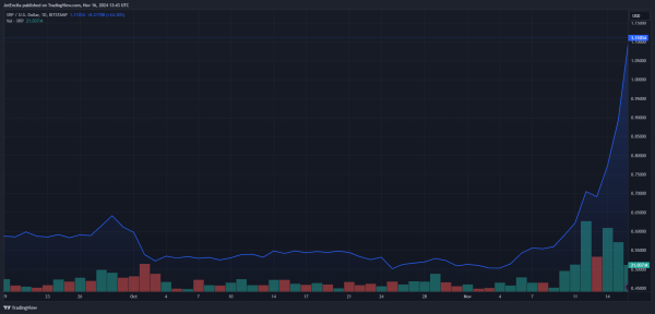 Предупреждение о китах: накопление XRP достигло 5-летнего пика &ndash; подробности