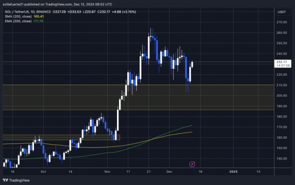 Солана перейдет в новый ATH перед Рождеством &ndash; аналитик ожидает скоро $300