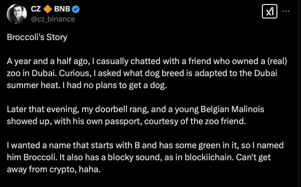 Имя собаки CZ Sparks &lsquo;Broccoli&rsquo; Memecoin Frenzy