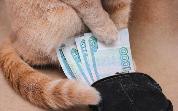 
                    ЦБ: объем средств россиян в банках вырос до ₽57,6 трлн

                