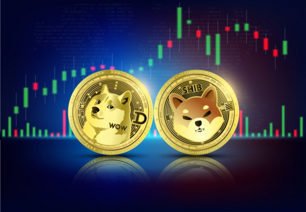 Почему цены на Dogecoin и Shiba Inu выросли более 10%?