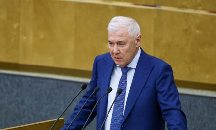 Эксперимент по партнерскому финансированию могут продлить