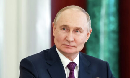 Путин поручил представить предложения о налоговом стимулировании SPO акционеров