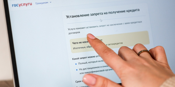 Власти перезагрузят Госуслуги