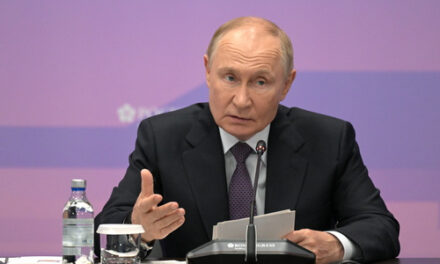 Финвласти ведут себя профессионально, уверяет Путин