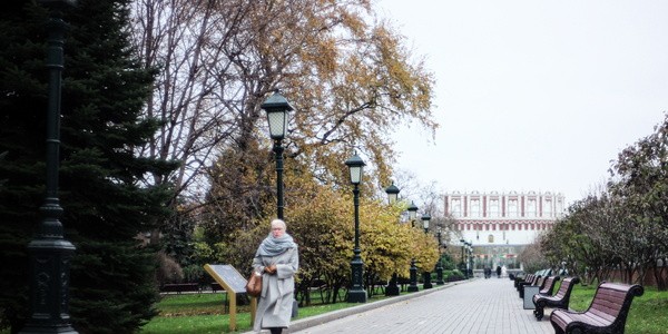 Какие законы вступят в силу в ноябре