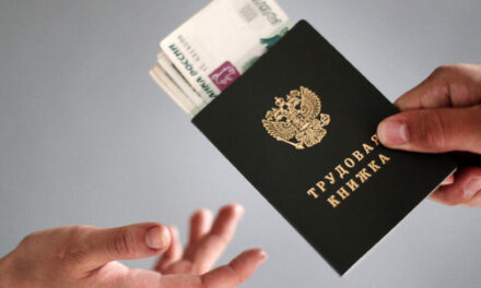 За год из теневой занятости вывели почти 1 млн россиян
