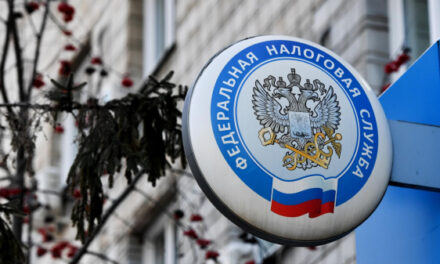 Каверина: ФНС не отслеживает сообщения о переводах через банковские приложения