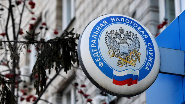 Каверина: ФНС не отслеживает сообщения о переводах через банковские приложения