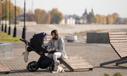 Получение единого пособия на детей упростят