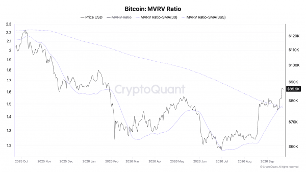В CryptoQuant заявили о начале нового бычьего рынка биткоина В CryptoQuant заявили о начале нового бычьего рынка биткоина