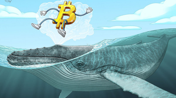 600 BTC, добытых в 2010 году, изменились после 16 лет бездействия 600 BTC, добытых в 2010 году, изменились после 16 лет бездействия