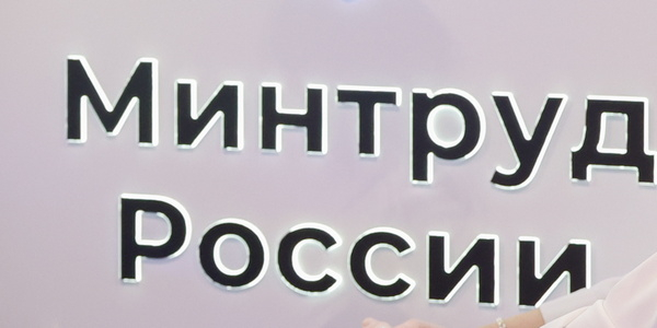 Минтруд запросил доступ к налоговой тайне россиян
